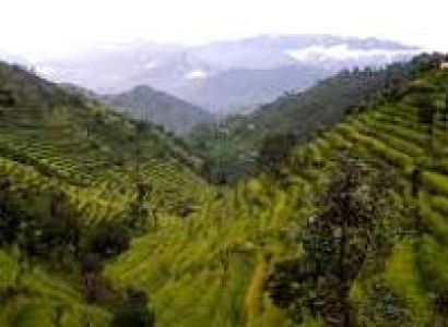 Best of Uttaranchal Tour
