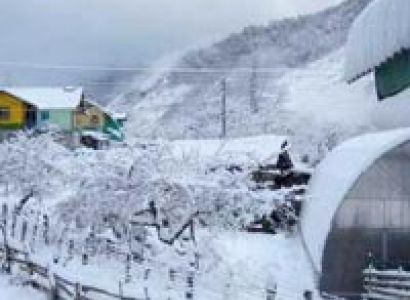 Amazing North East Tour