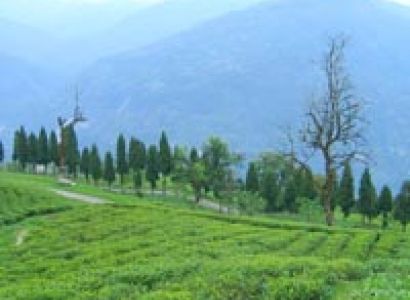 Darjeeling With Sikkim Tour