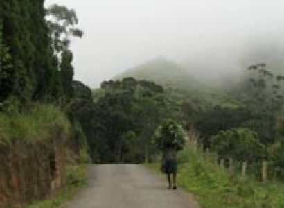 Beauty of Kerla Tour