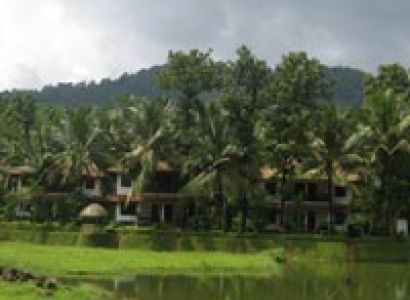 Back Water Travel Tour