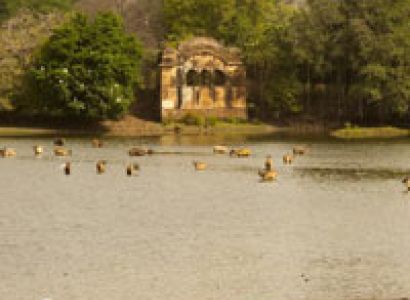 Ranthambore Wildlife Tour