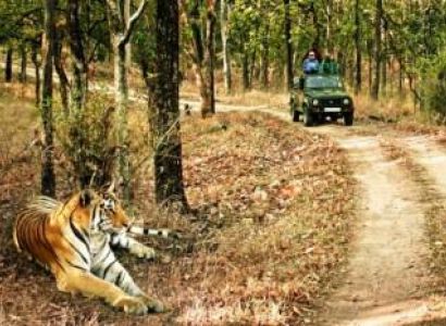 Jeep Safari in Bandhavgarh National Park Package