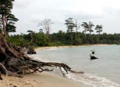 Holiday In Andaman Package