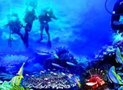 Manado - Bunaken Tour