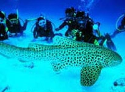 Port Blair - Havelock Island - Neil Island Tour