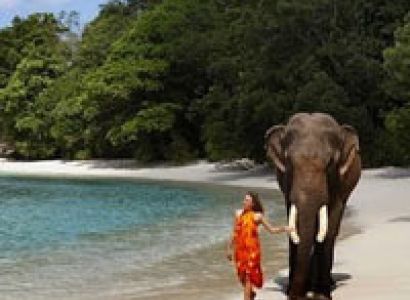 Exotic Andaman Tour
