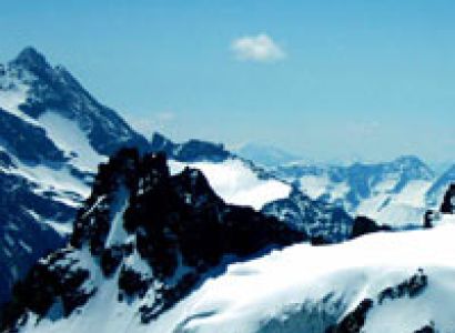 Tops of Swiss Package