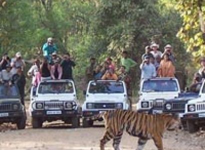 Panchmarhi - Jabalpur - Bheda Ghat - Kanha Wild Life Tour