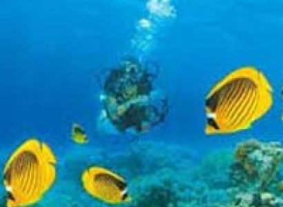 Andaman Honeymoon Tour 3N/4D