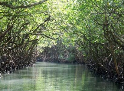Andaman Island Tour