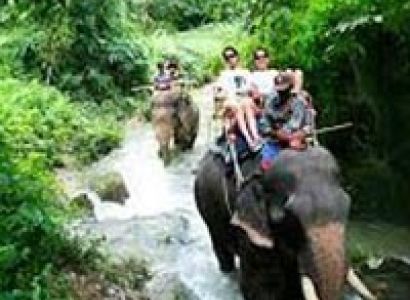 Andaman Tour