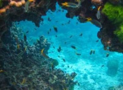 Havelock & Port Blair 5 Days Budget Holiday Package
