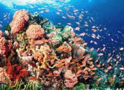Havelock & Port Blair Tour Package - 5 Days Budget