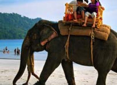 Deluxe Holidays Tour