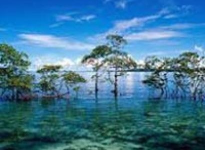 Five Day Tour (South Andaman)