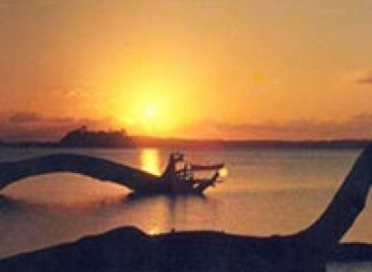 Honeymoon Package