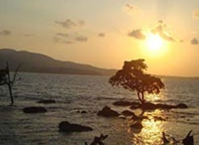 Port Blair Honeymoon Packages