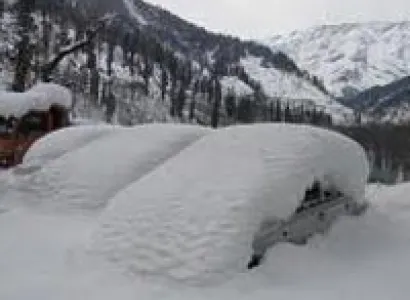 Shimla Manali Chandigarh tour
