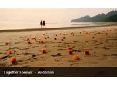 Honeymoon Package in Havelock Island