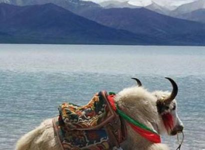 Lhasa , Namtso Lake and Tsedang Tour