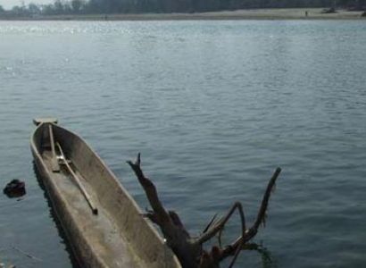 Nepal Wildlife Safari Tour with Lumbini Visit Tour