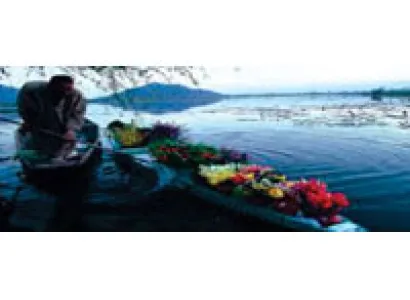 Splendid Kashmir Tour