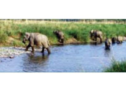 Grand Uttaranchal Tour