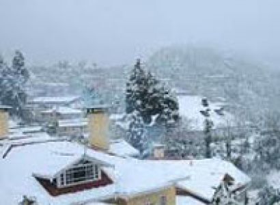 Darjeeling Honeymoon Tour - 3 nights & 4 days 