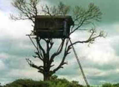 Memorable Kerala Tour