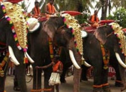 Pure Kerala Holiday Tour