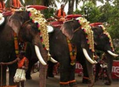 Kerala Wild Life With Beach Tour