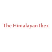 The Himalayan Ibex