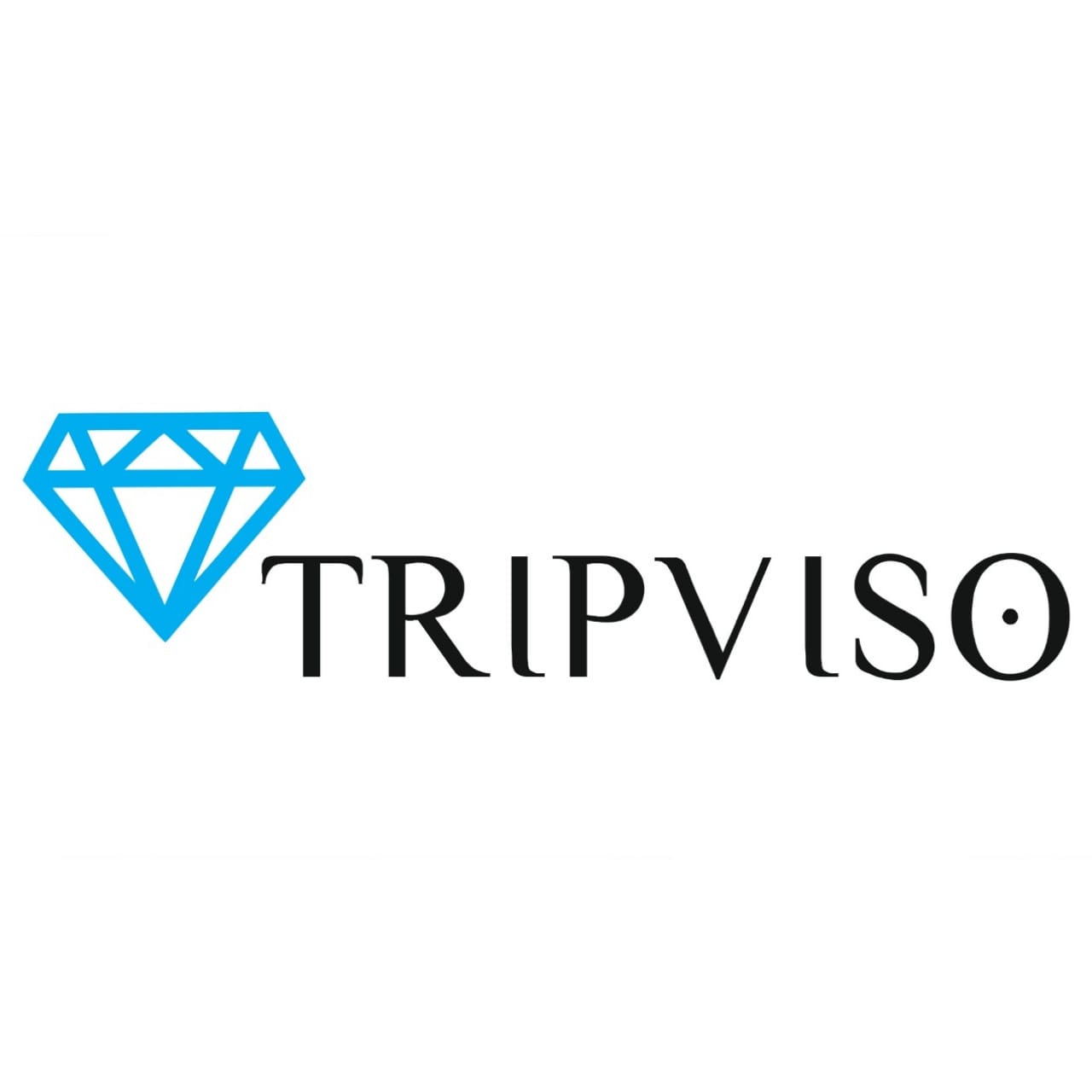 Tripviso International Private Limited