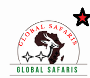 Global Hotels and Safaris