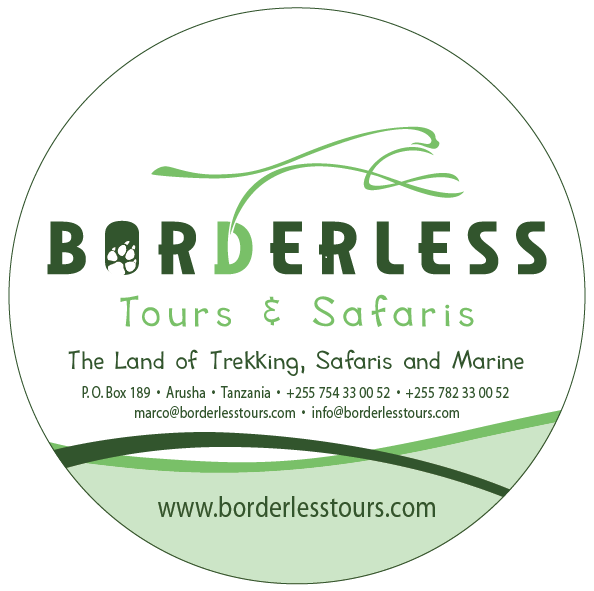 Borderless Tours and Safaris Ltd