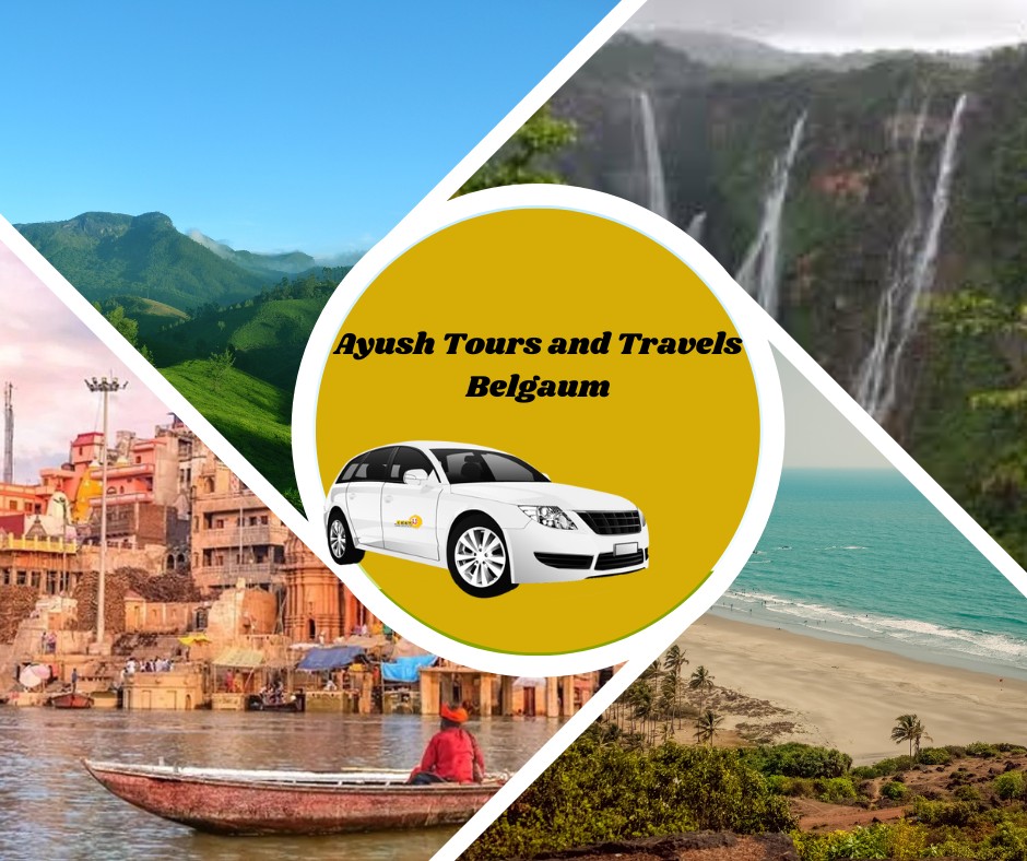 Ayush Tours and Travels..