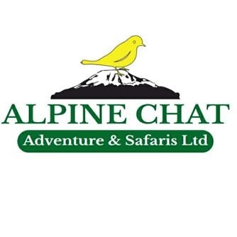 Alpine Chat Adventure