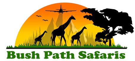 Bush Path Safaris