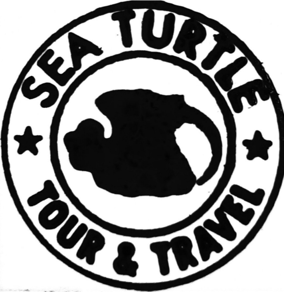 Sea Turtle Tour and Travel
