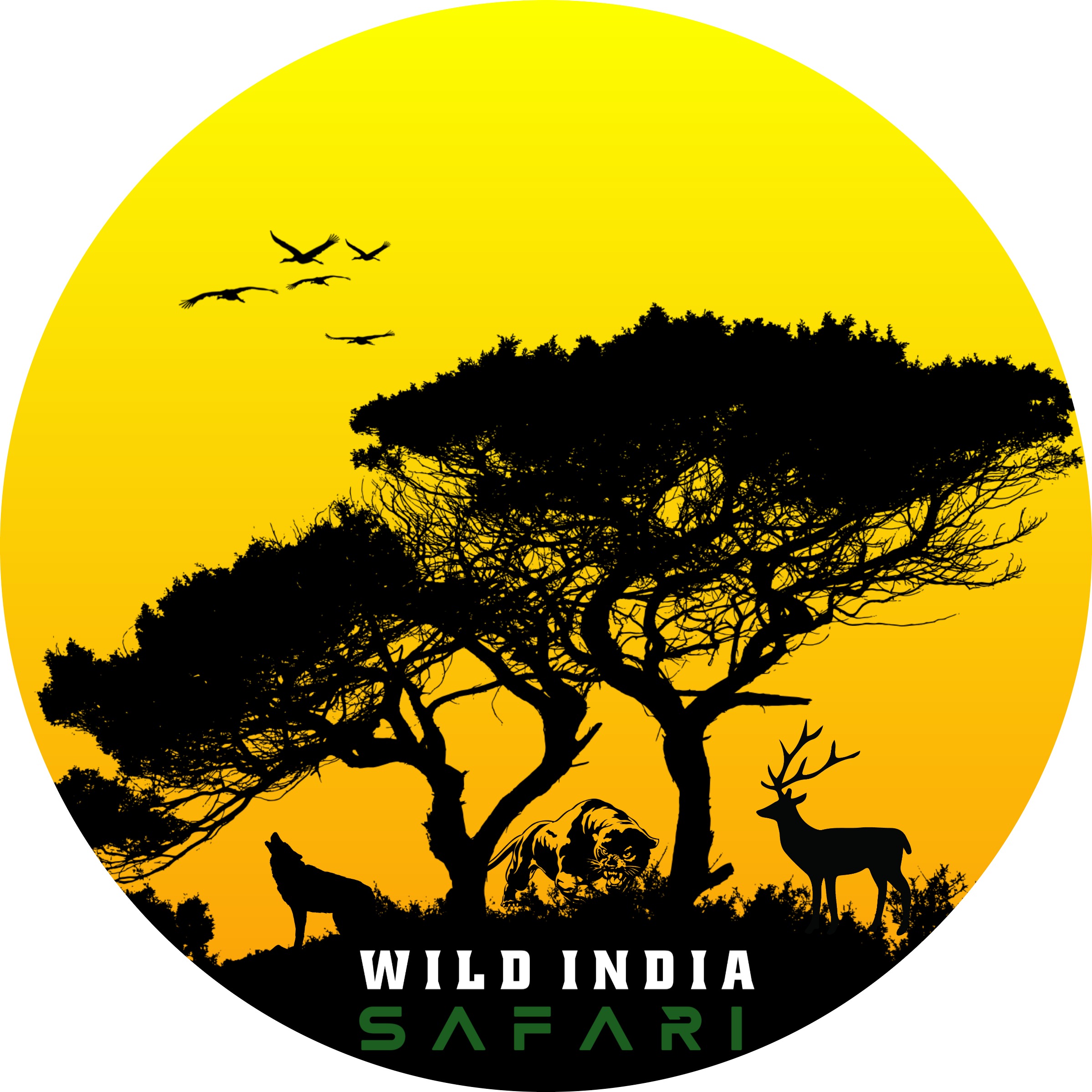 Wild India Safari