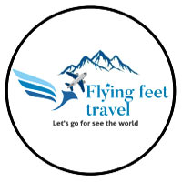 Flying Feet Travel Image