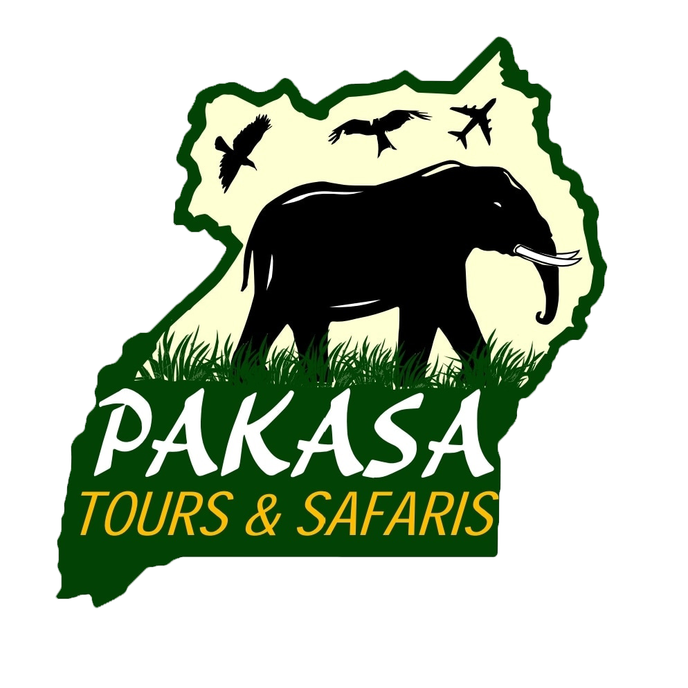 Pakasa Tours and Safaris