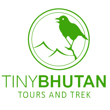 Tiny Bhutan Travels