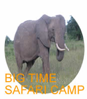 Big Time Safaris Ltd. Image