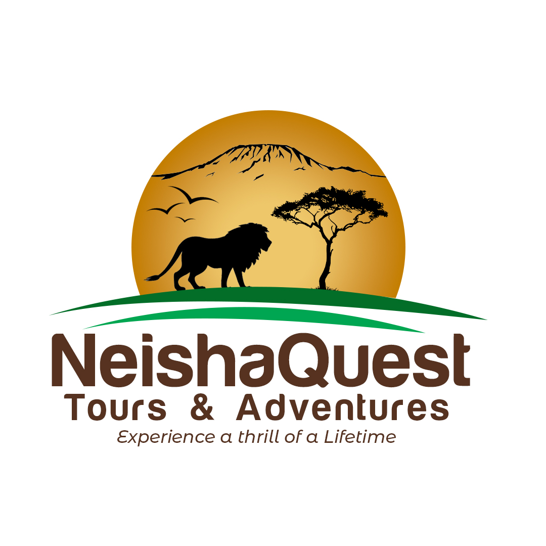 Neisha Quest Tours and Adventures