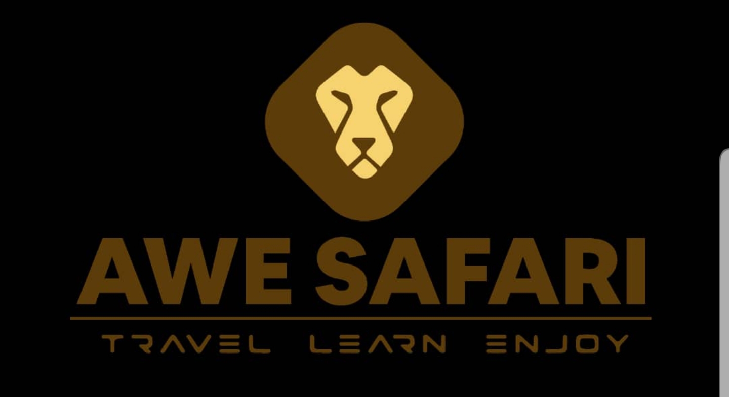 Awe Safari