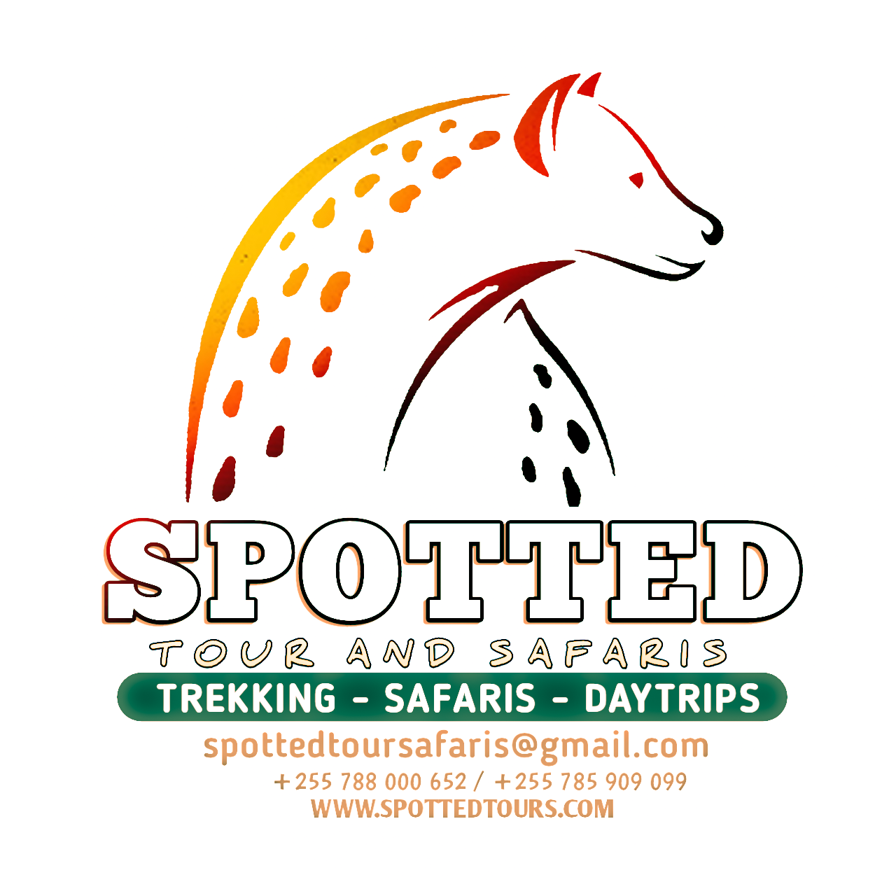 Spotted Tour and Safaris