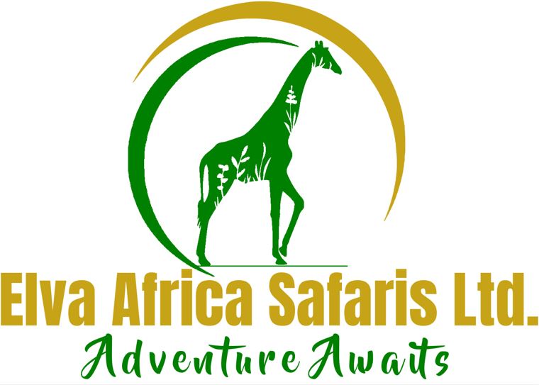 Elva Africa Safaris