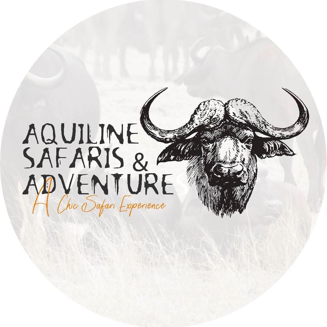 Aquiline Safaris and Adventures